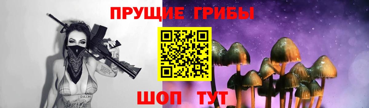 Псилоцибиновые грибы Magic Shrooms  Галлюциногенные грибы Cubensis  Ростов Великий  Вход с VPN 